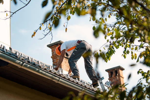Best Metal Roofing Contractor  in Nutter Fort, WV