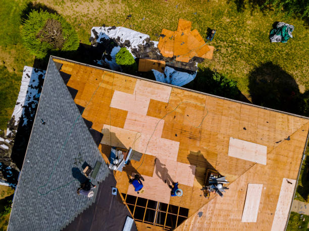 Best Gutter Installation and Roofing  in Nutter Fort, WV