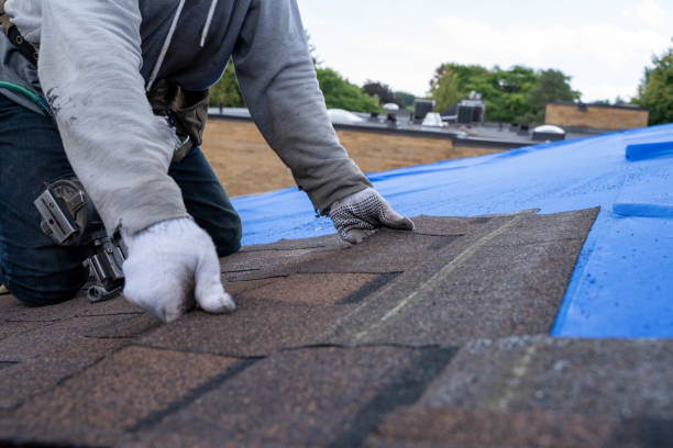 Best New Roof Installation  in Nutter Fort, WV